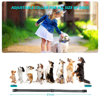 Easy Dog Training Collar with Remote Control