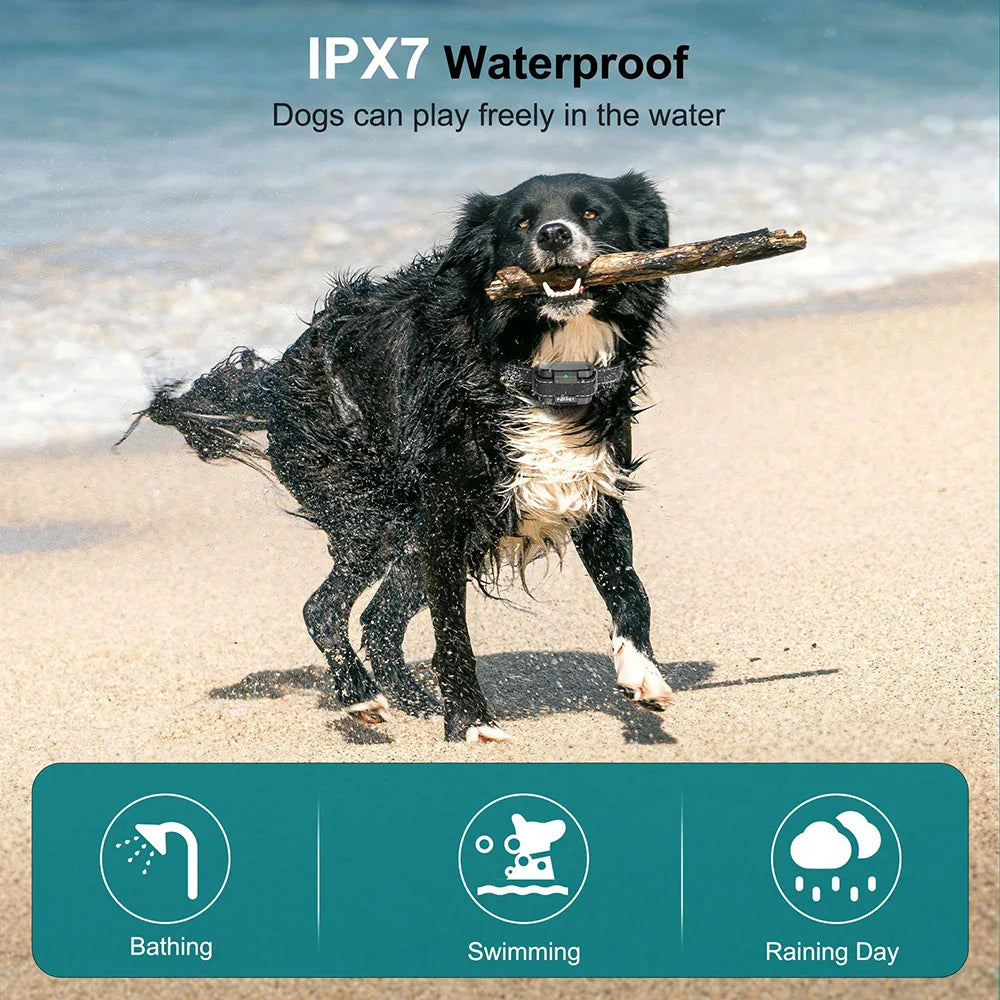 Long Range Waterproof Dog Training Collar System