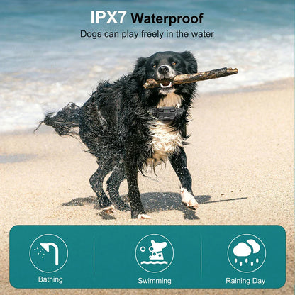 Long Range Waterproof Dog Training Collar System