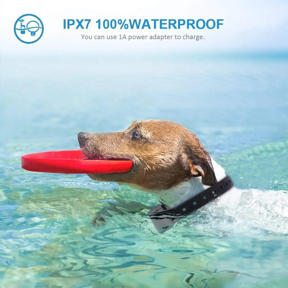 Rechargeable Waterproof Vibration Dog Training Collar Kit