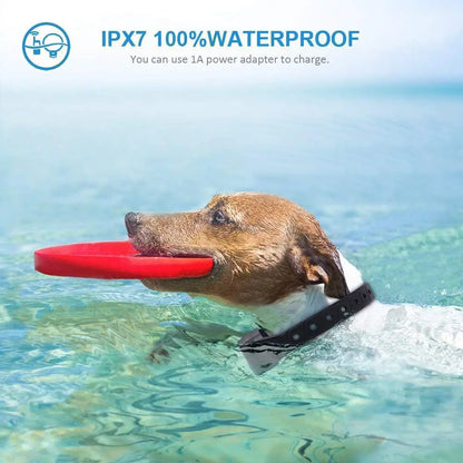 Rechargeable Waterproof Vibration Dog Training Collar Kit