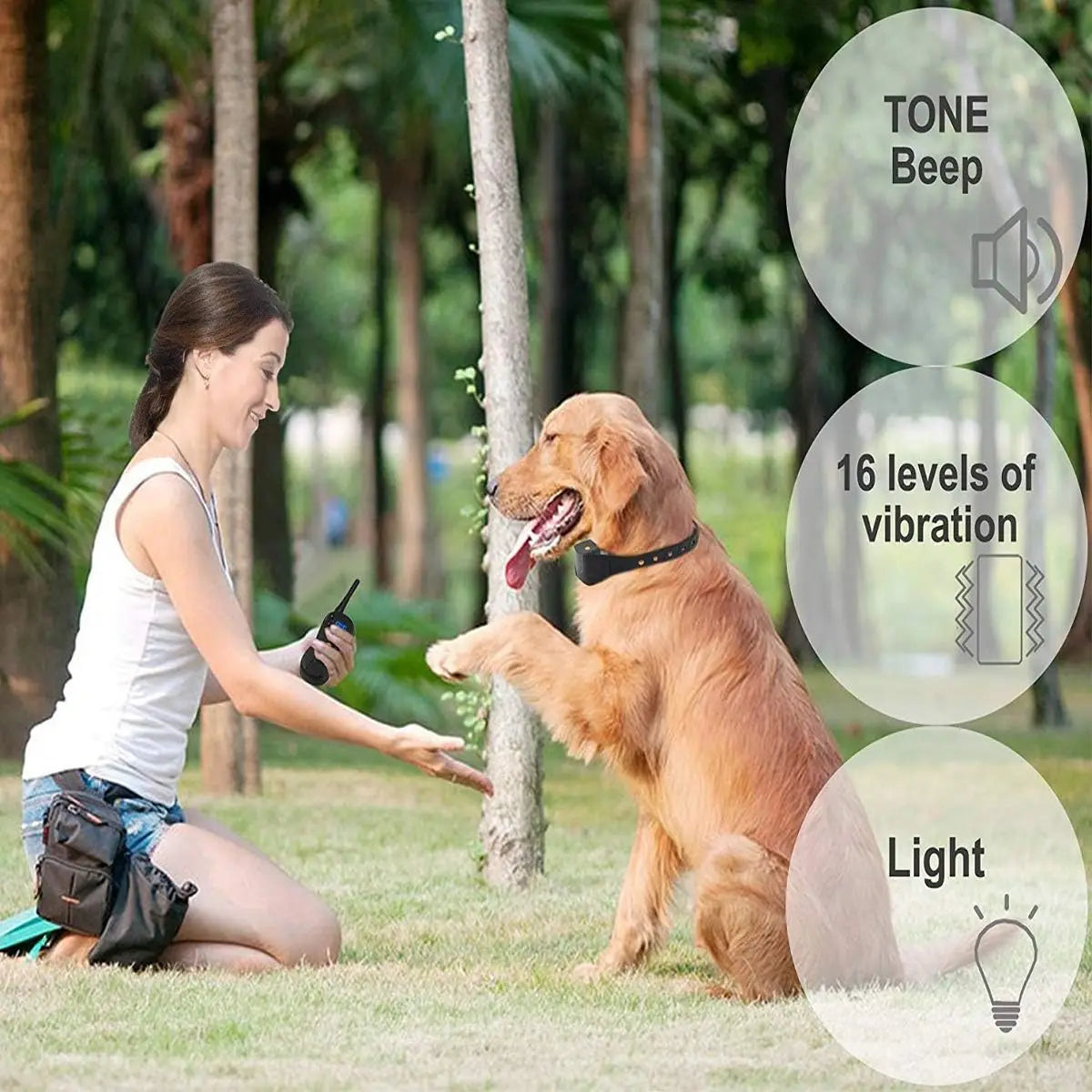 Rechargeable Waterproof Vibration Dog Training Collar Kit