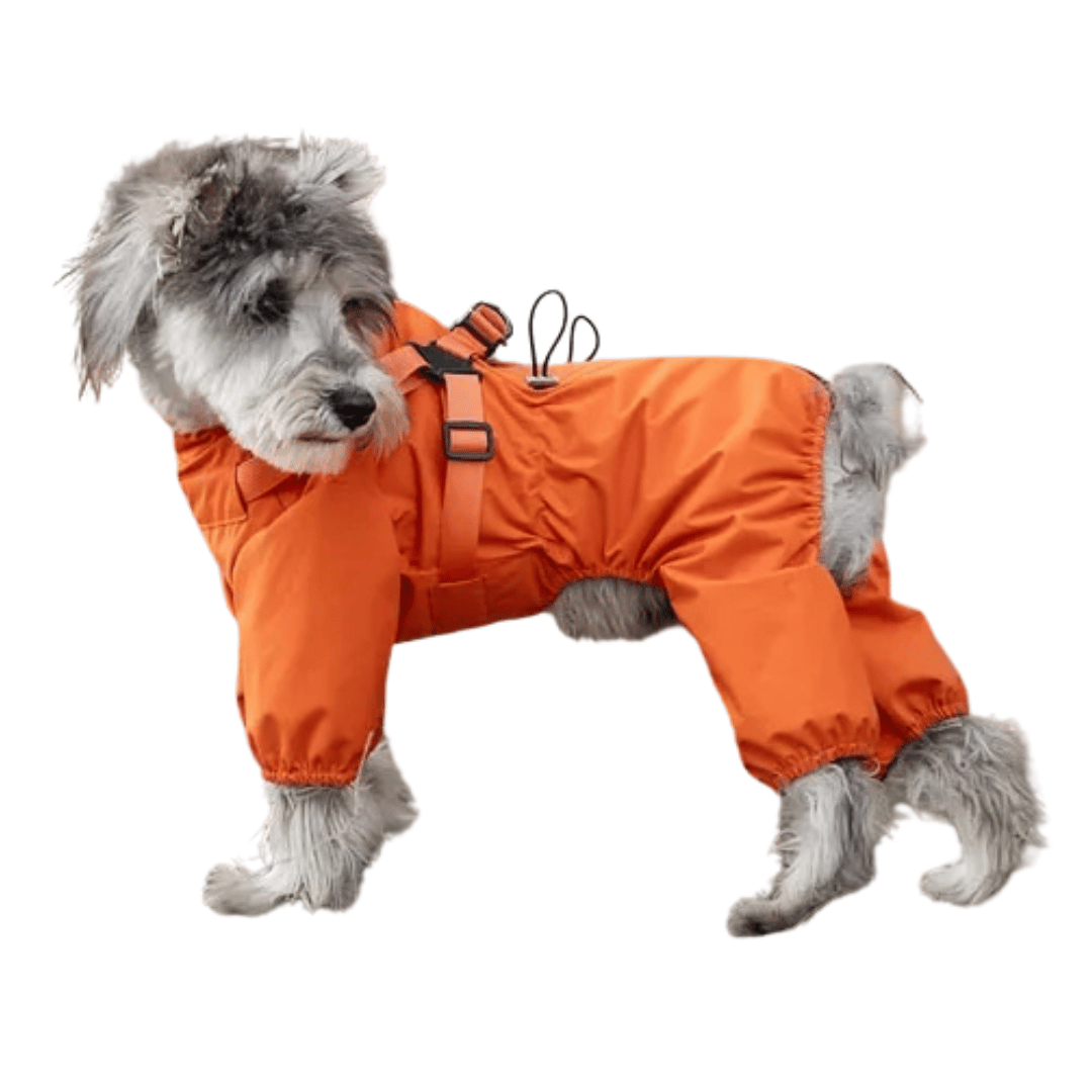 Waterproof Pet Coat with Built-In Dog Harness