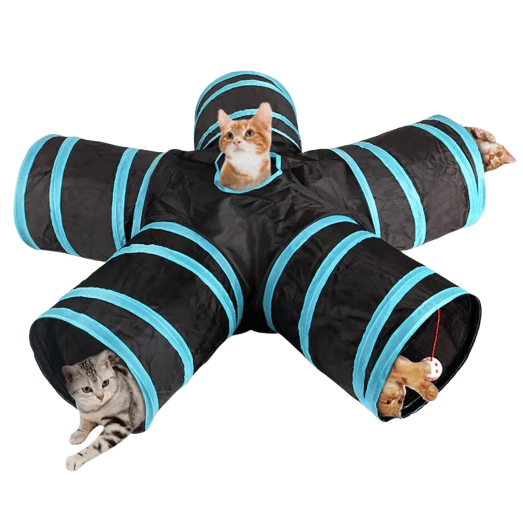 Fun Foldable Cat Tunnel Toy - LifyPet