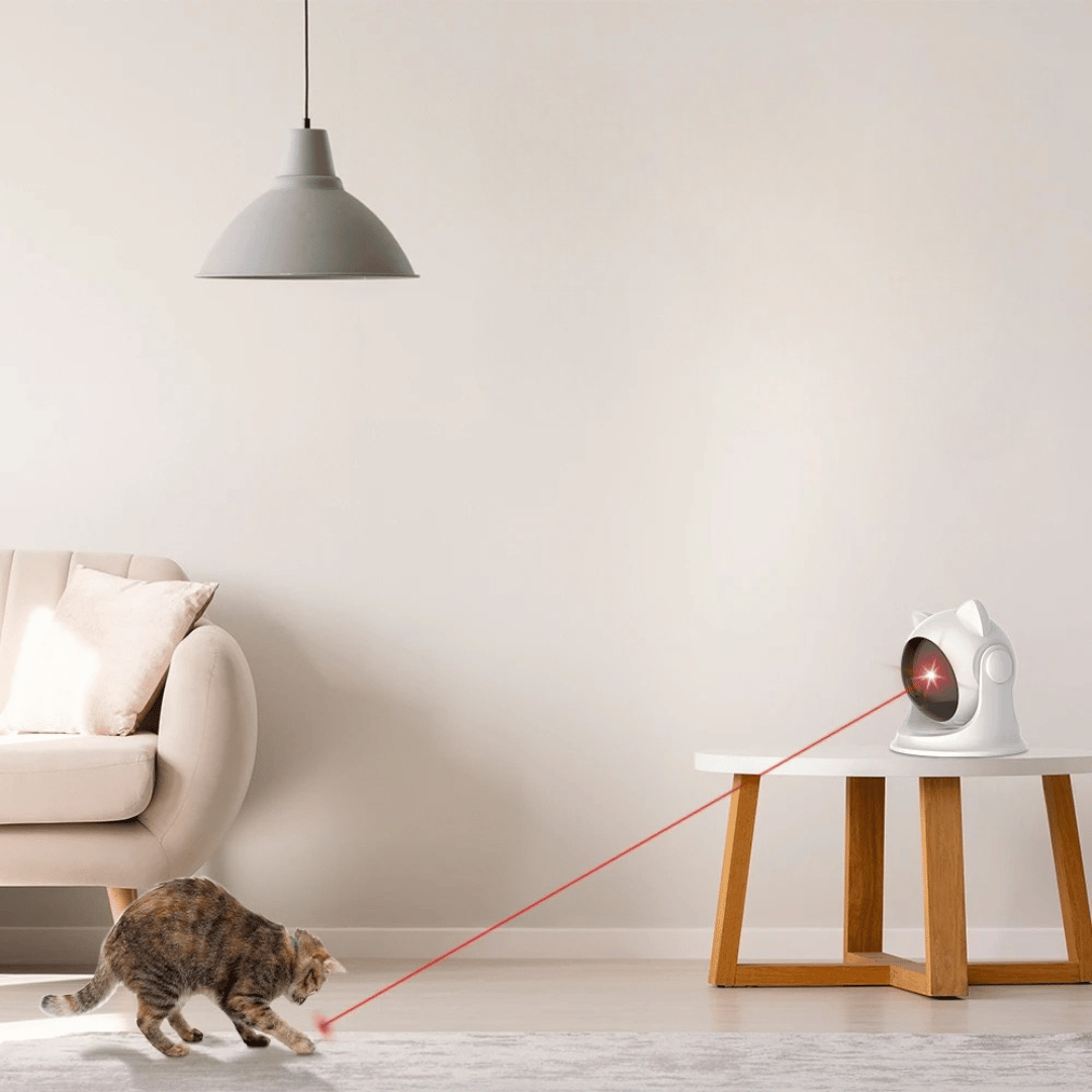 Fun Interactive Laser Pet Toy