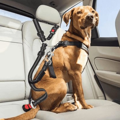 Strong Pet Car Harness for Safe Driving