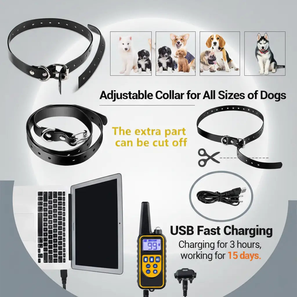 Adjustable dog collar with USB charging device and screen on a gray background