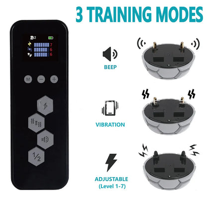 Easy Dog Training Collar with Remote Control