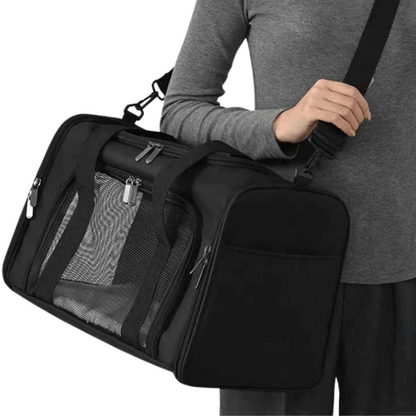 Pet Safe Small Dog Travel Crate Carrier