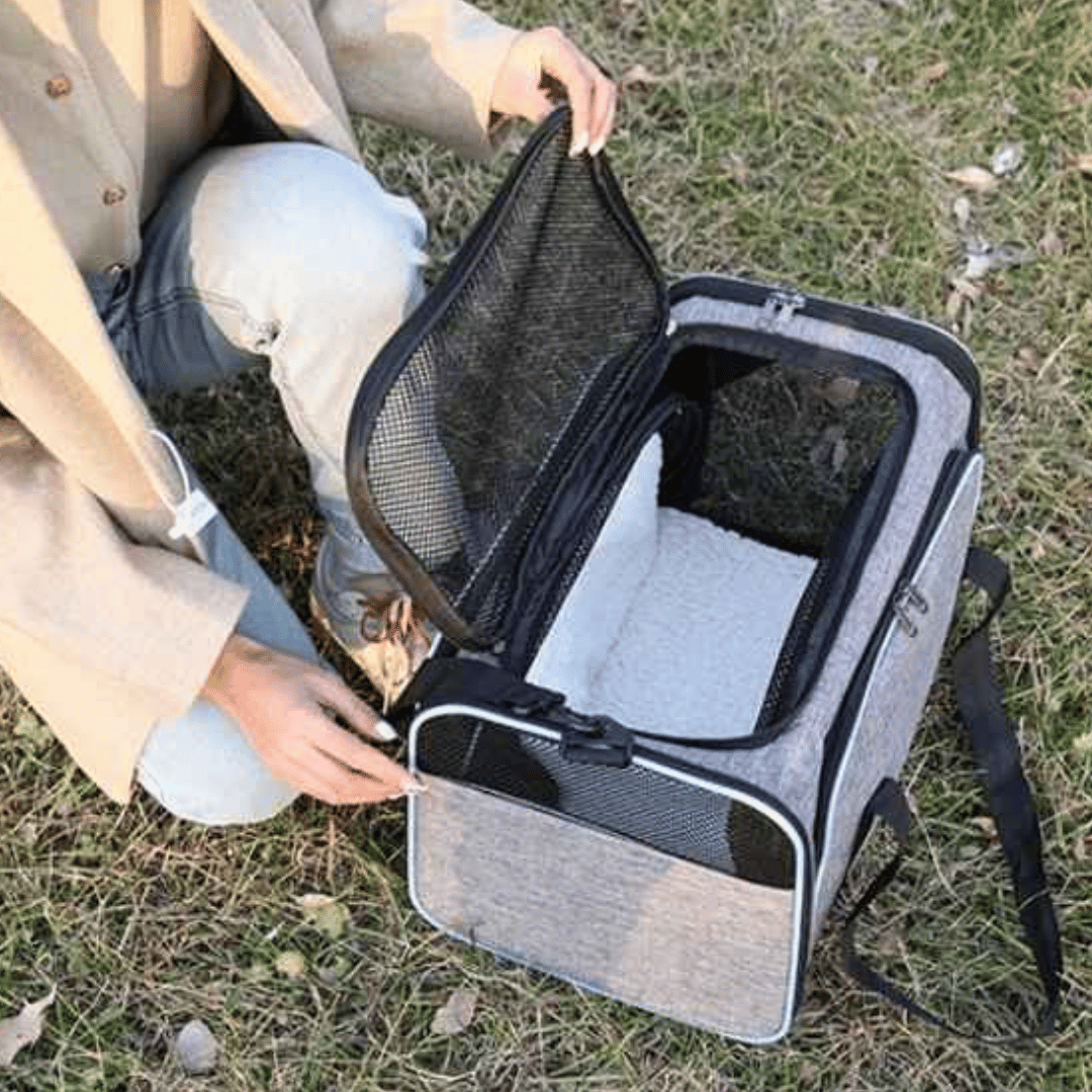 Pet Safe Small Dog Travel Crate Carrier