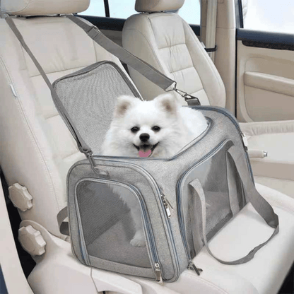 Pet Safe Small Dog Travel Crate Carrier