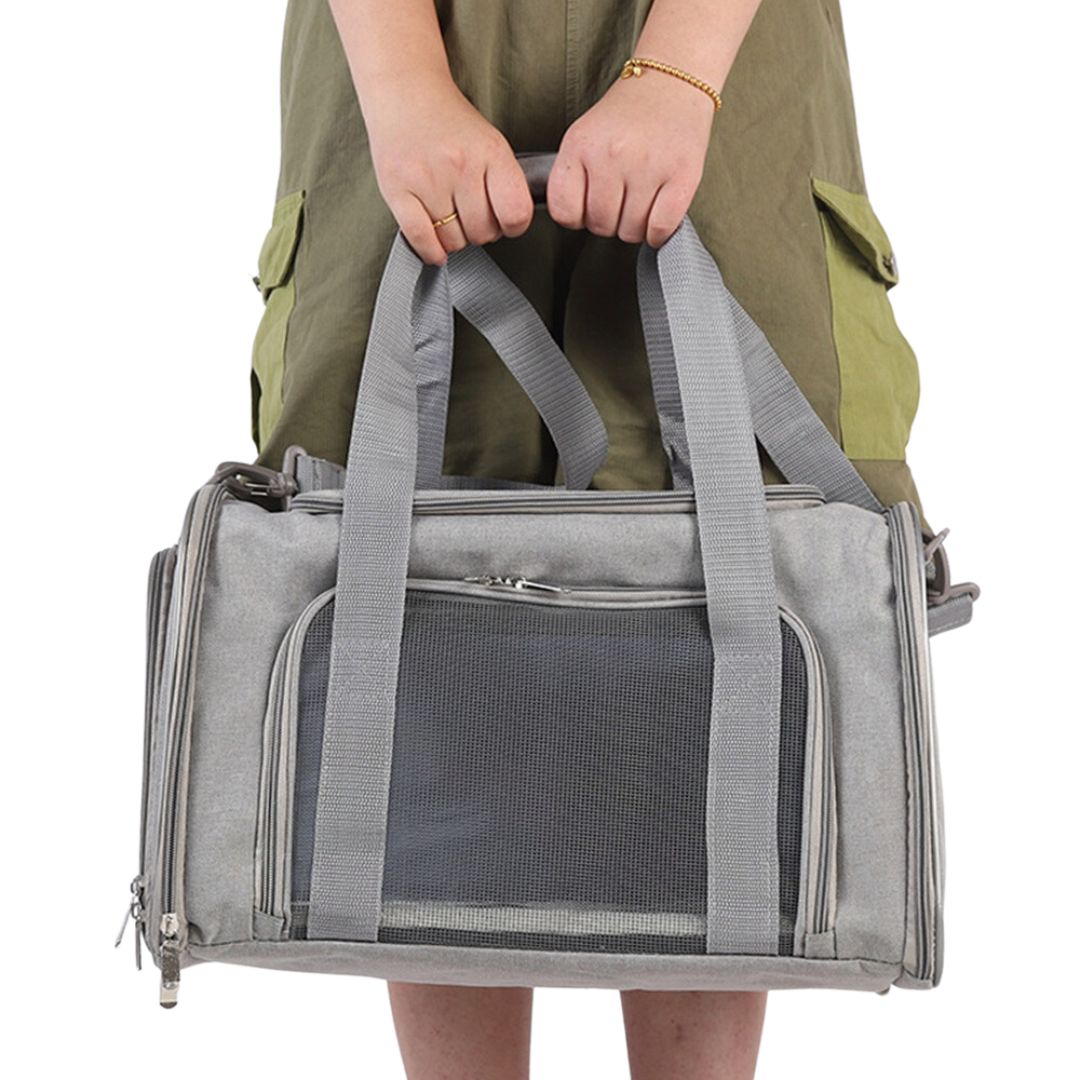 Pet Safe Small Dog Travel Crate Carrier - LifyPet