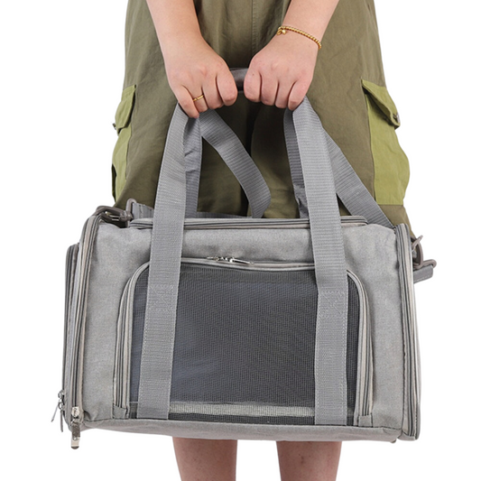 Pet Safe Small Dog Travel Crate Carrier - LifyPet