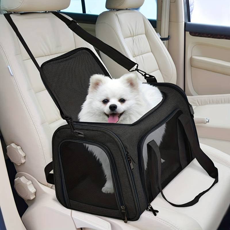 Pet Safe Small Dog Travel Crate Carrier