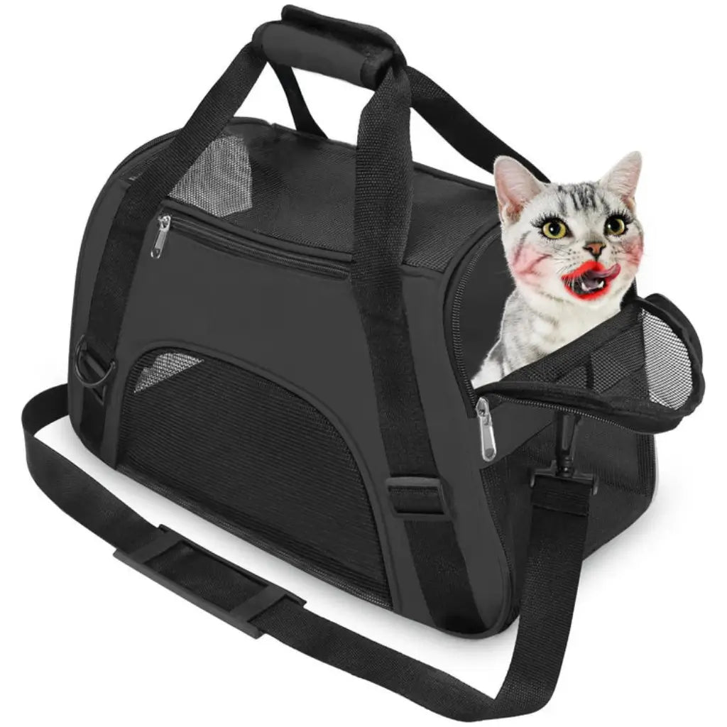 Black pet carrier with a cat peeking out on a white background
