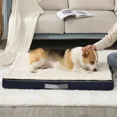 Comfortable Dog Calming Bed with Washable Cover - LifyPet
