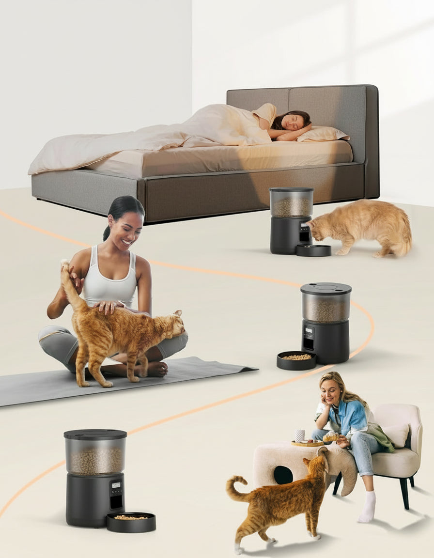 Automatic Cat Feeder Dry Food: Cat Feeder with Timer - Pet Food Dispenser Button Control 1-6 Meals - 3L Auto Dog Bowl with Customize Feeding Schedule - 10s Voice Recorder - Contains Desiccant