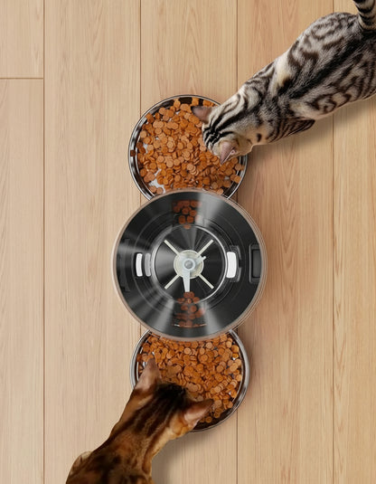 Automatic Cat Feeder For 2 Cats - Stainless Steel Cat Food Dispenser for Fresh Dry Food with Timer - 5L Electric Pet Feeder with Double Bowls Indoor- Auto Small Dog Feeder Dual Power - Button Control