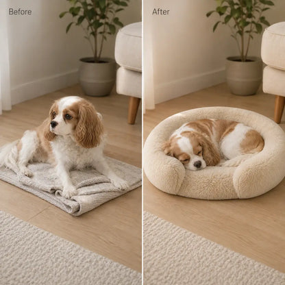 Before and after: dog resting on a flat mat versus curled up asleep in the plush bed