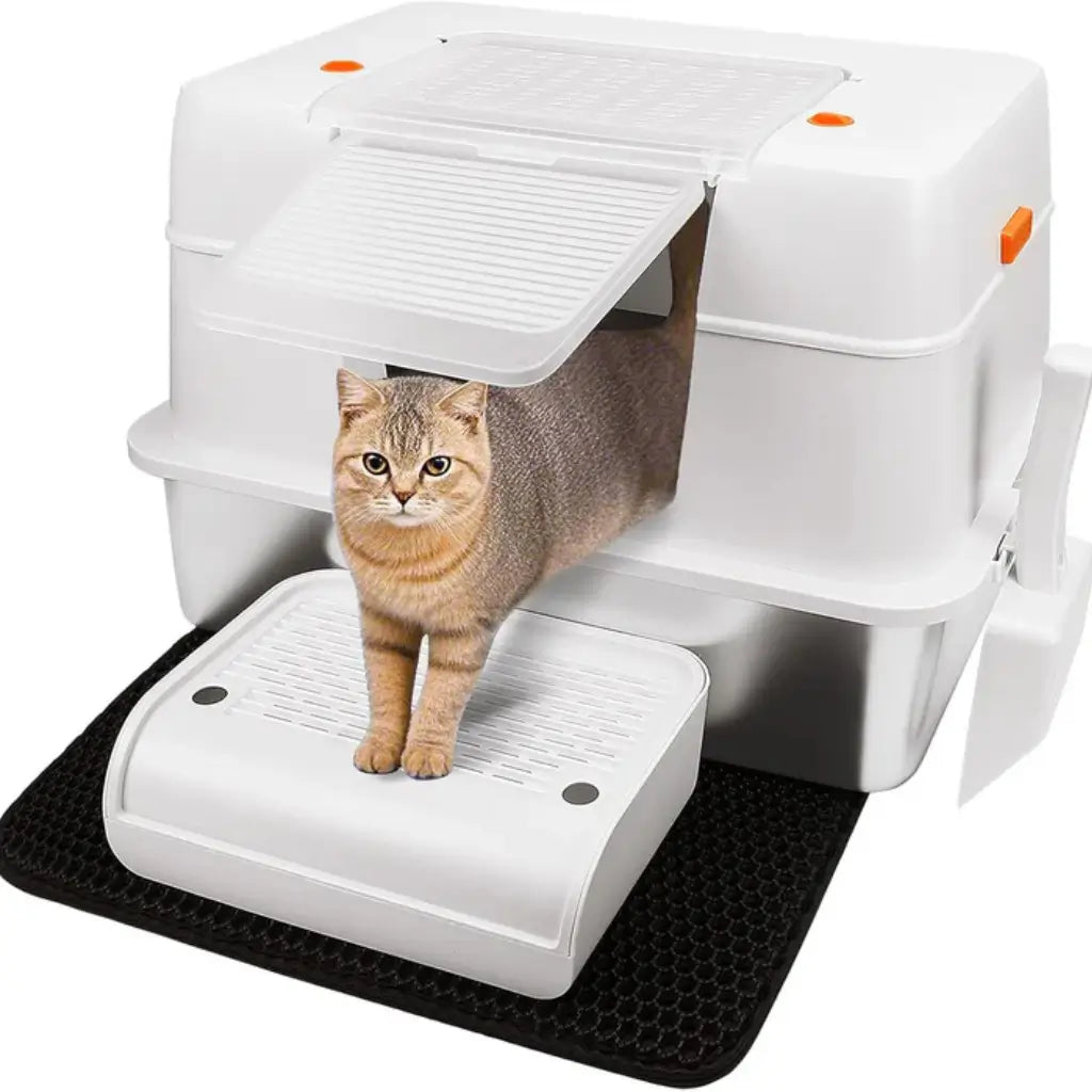 Beige cat litter box with a cat peeking out from under the lid on a white background