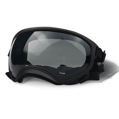 Trendy Pet Shades | Waterproof Dog Sun Glasses - LifyPet