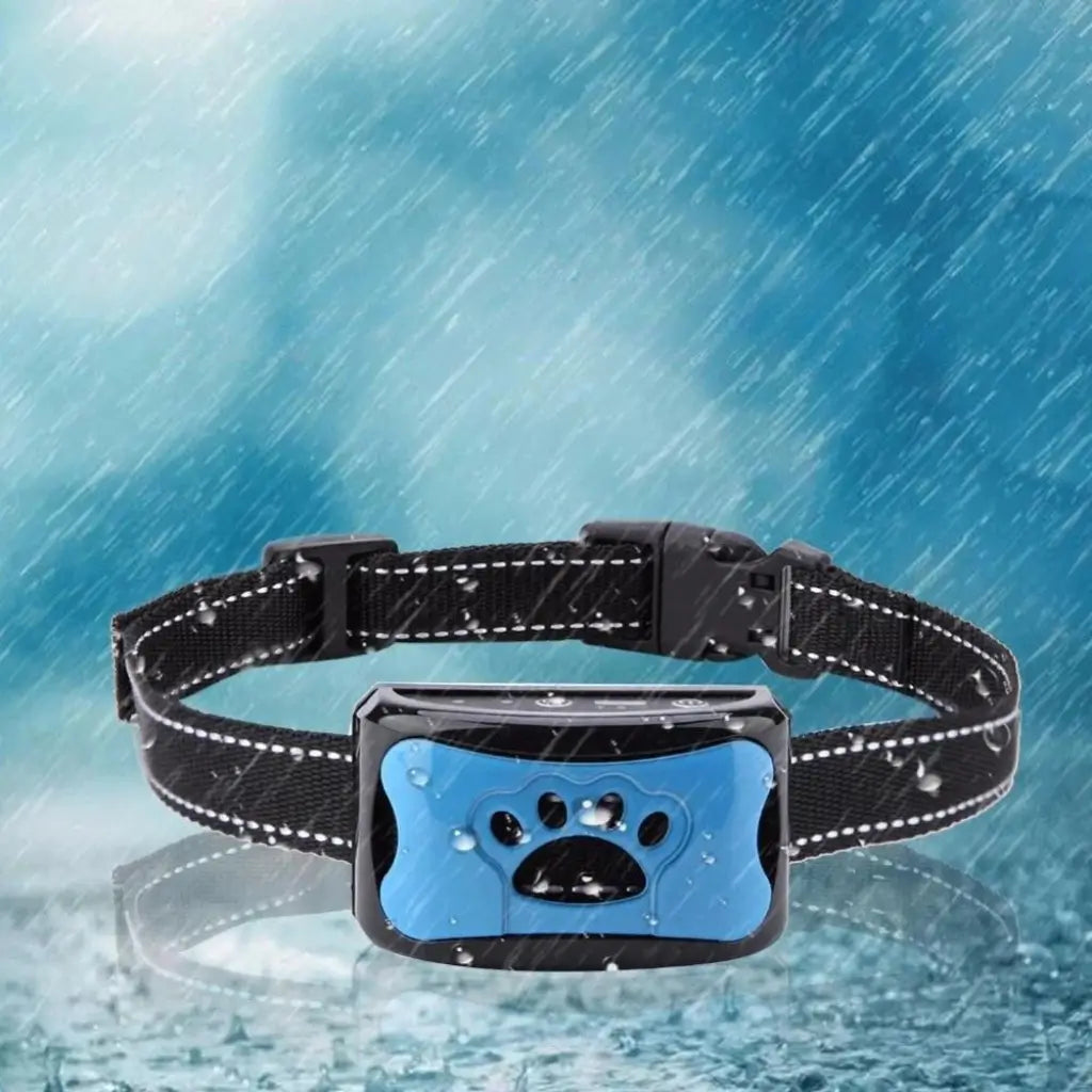 Black dog collar with a blue anti bark device on a water droplet background