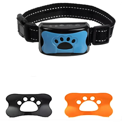 Black dog collar with blue,orange and black pads on a white background