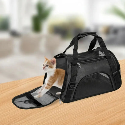 Black pet carrier with a cat inside on a wooden surface