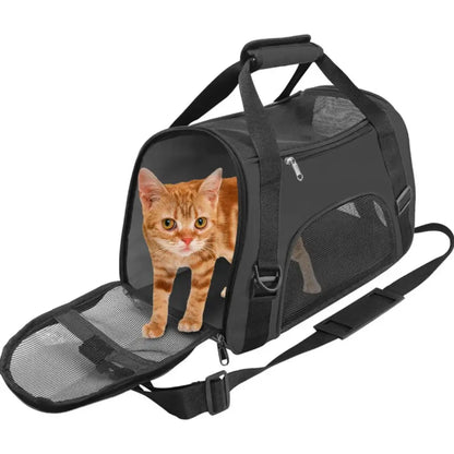 Black pet carrier with a cat peeking out on a white background
