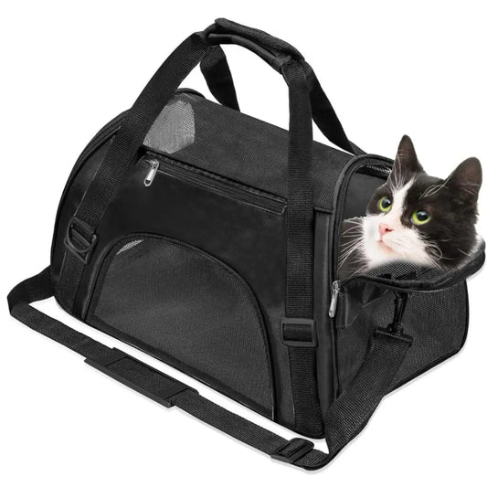 Black pet carrier with a cat peeking out on a white background