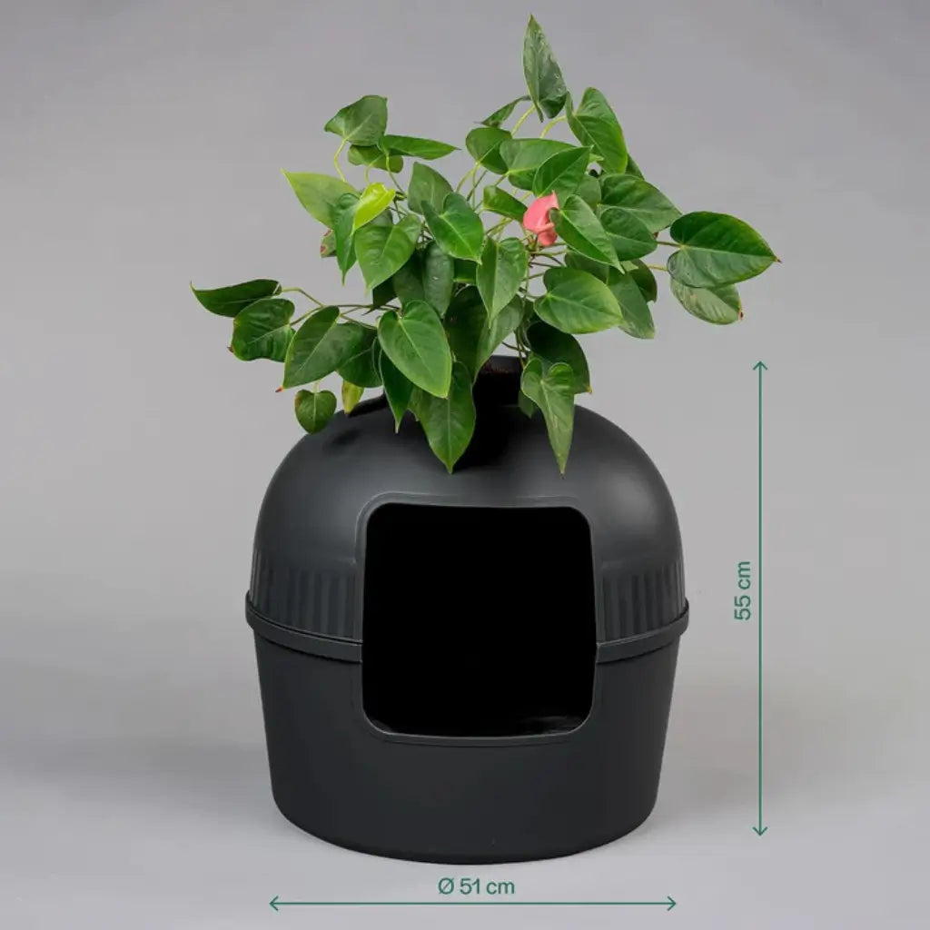 Black pet litter box with a plant on top and dimentions against a gray background