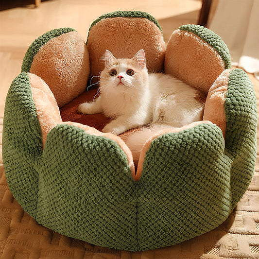 Fun Shaped Pet Bed for Cats and Dogs - LifyPet