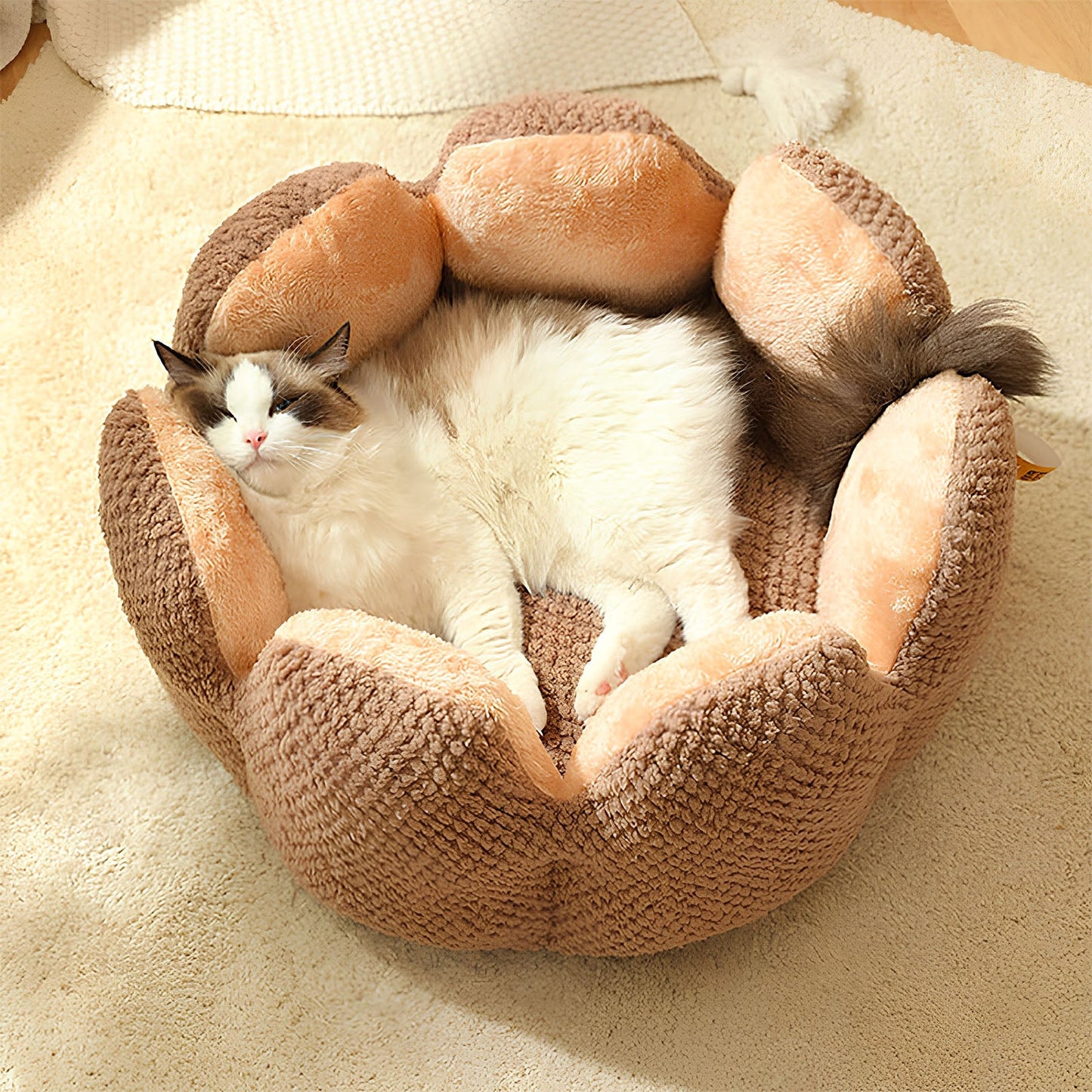 Fun Shaped Pet Bed for Cats and Dogs