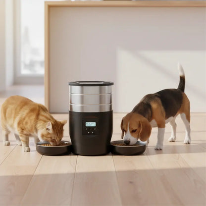 Cat and dog eating from a pet feeder on a wooden floor