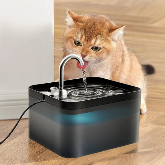 Cat drinking water from a black pet fountain on a wooden floor and white wall