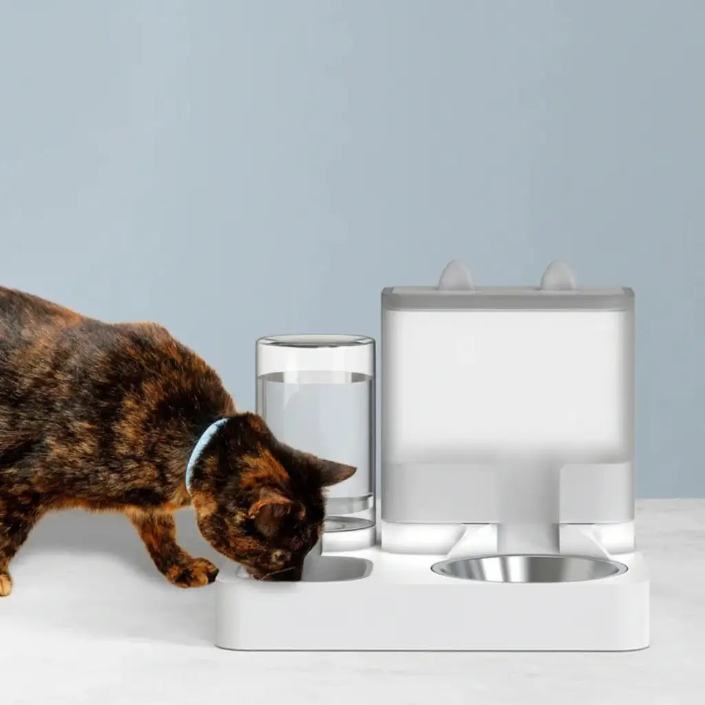 Cat drinking water from a modern pet dispenser on a light gray background