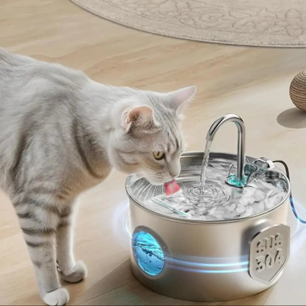 Cat drinking water from a modern stainless steel pet fountain on a wooden floor.