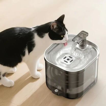 Cat drinking water from a pet fountain on a wooden floor
