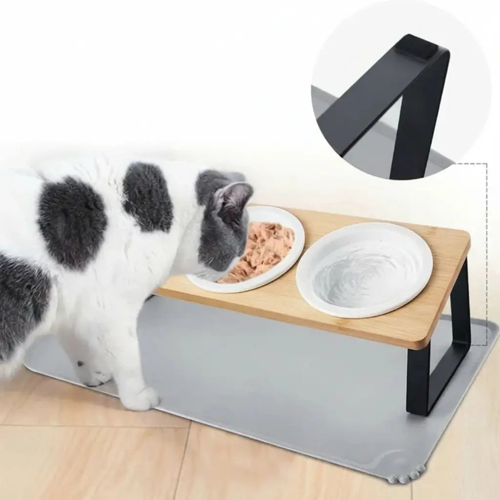 Cat eating from a raised food and water bowl station with a gray mat