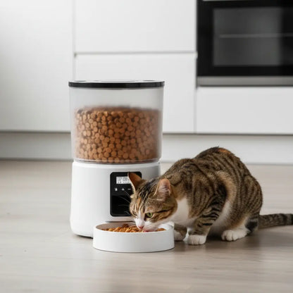 Cat eating from a white bowl next to an automatic pet feeder on a kitchen floor
