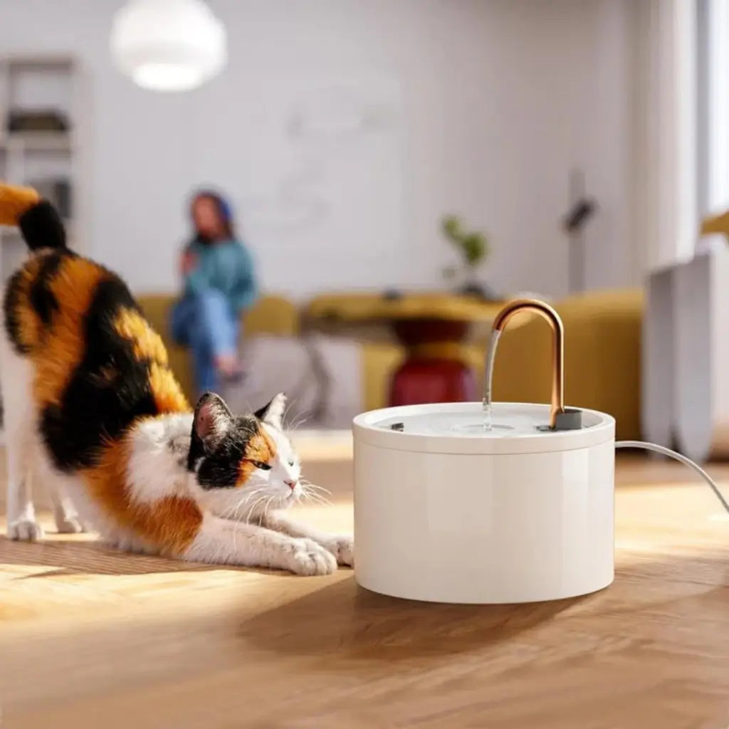 Cat interacting with a white pet water fountain on a wooden floor