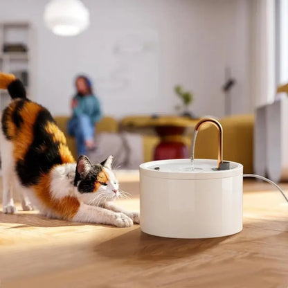 Cat interacting with a white pet water fountain on a wooden floor