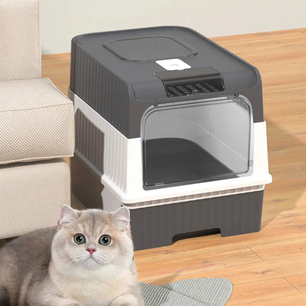 Cat litter box with a cat sitting on the floor next to it