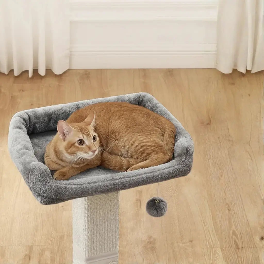 Cat lying on a gray cat tree with a wooden floor and white curtains in the background