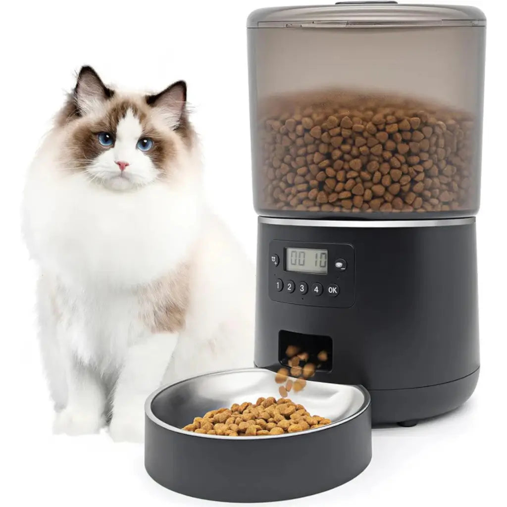 Cat next to an automatic pet feeder with a bowl of food on a white background