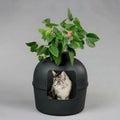 XXL Cat Litter Box Flower Style - Hidden Cat Toilet for Large Cats