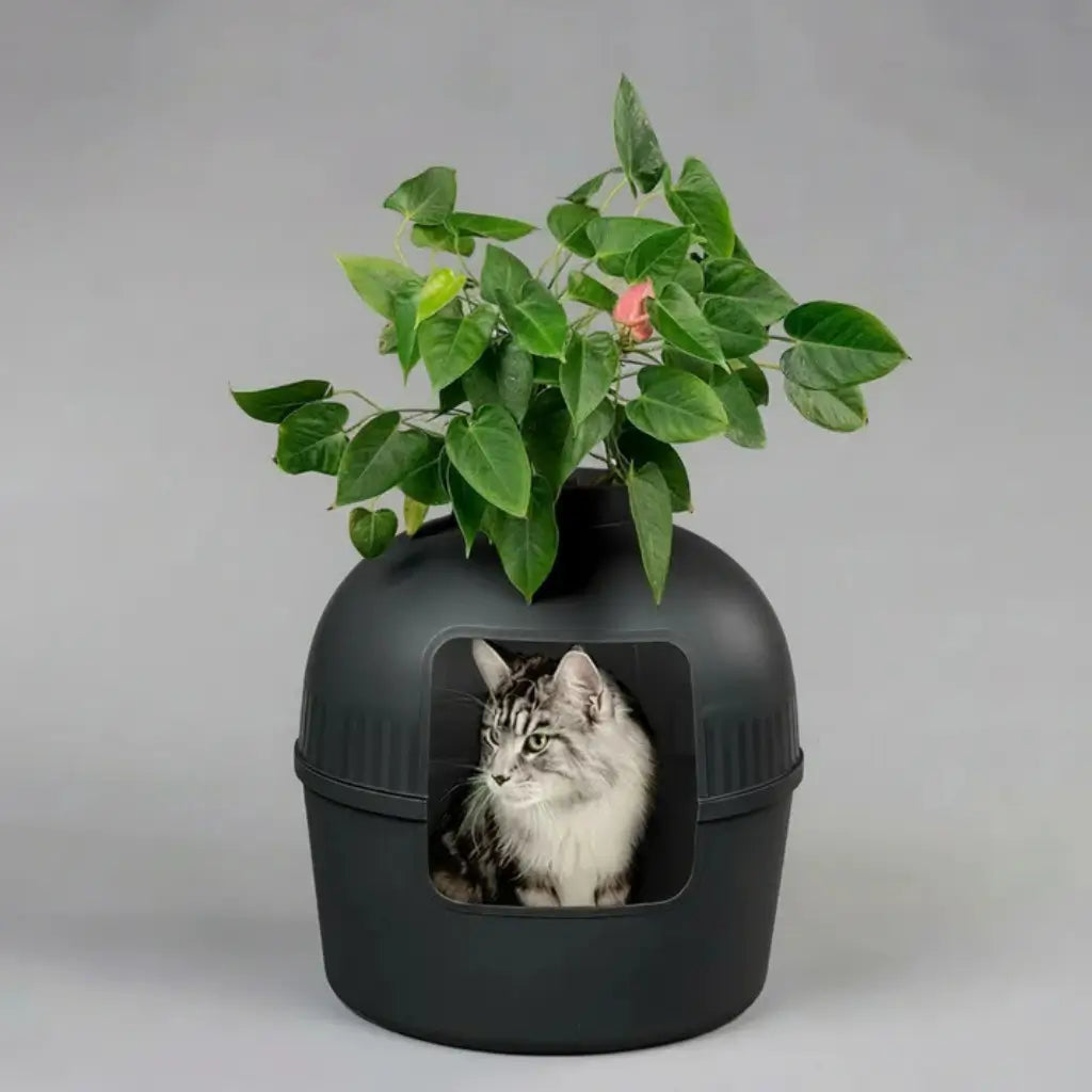 Cat peeking out from a black cat litter box with a plant on top against a gray background