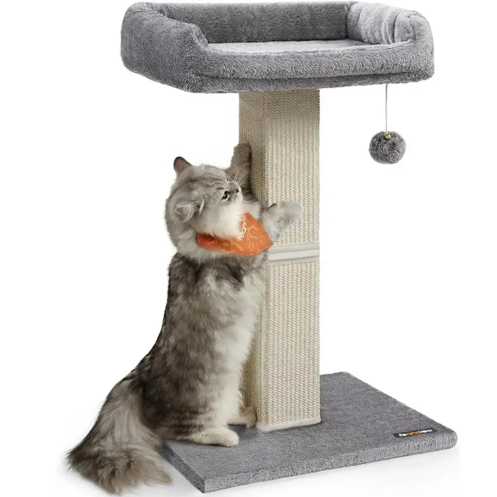 Cat playing with a toy on a gray cat tree with a white background