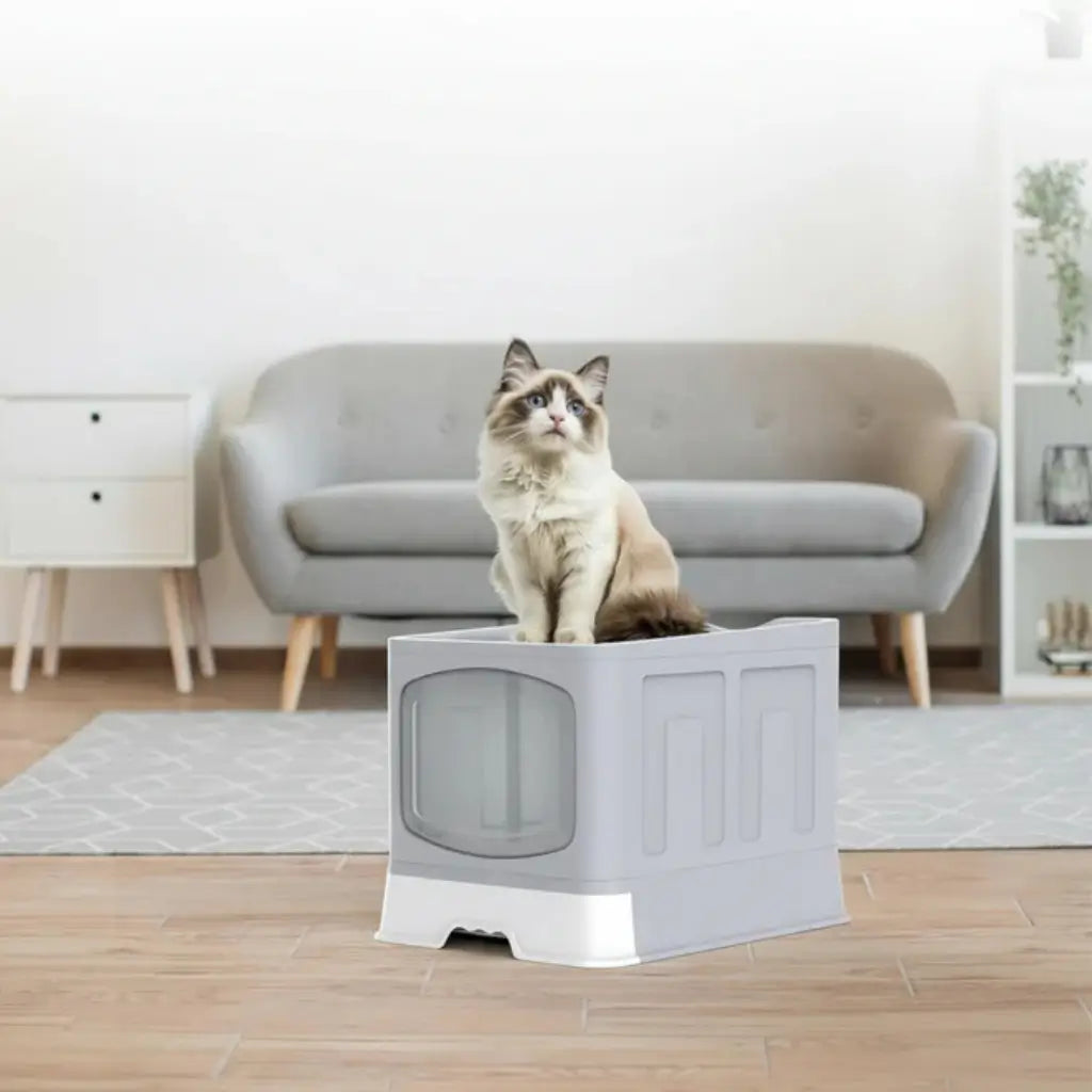 Cat sitting on a grey litter box in a living room with a gray sofa and wooden floor.