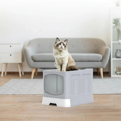 Cat sitting on a grey litter box in a living room with a gray sofa and wooden floor.